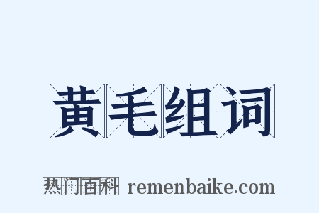 黄毛组词是什么意思的图片